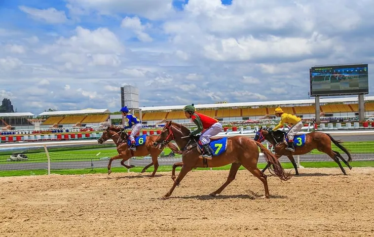 Bí Kíp Tìm Hiểu Cá Cược Đua Ngựa Sodo6789 Thắng Lớn Mỗi Ngày Cho Mọi Cược Thủ