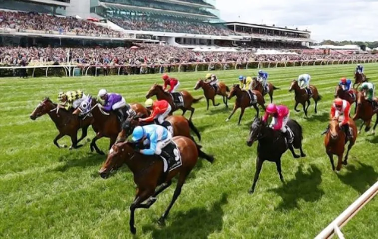 Bí Kíp Tìm Hiểu Cá Cược Đua Ngựa Sodo6789 Thắng Lớn Mỗi Ngày Cho Mọi Cược Thủ