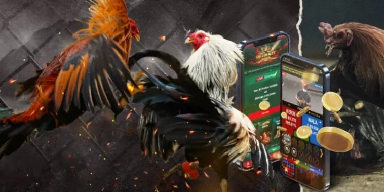 Bật Mí Cách Chơi Đá Gà GA28 Tại Sodo6789 Chi Tiết Và Dễ Thắng Nhất Cho Bạn