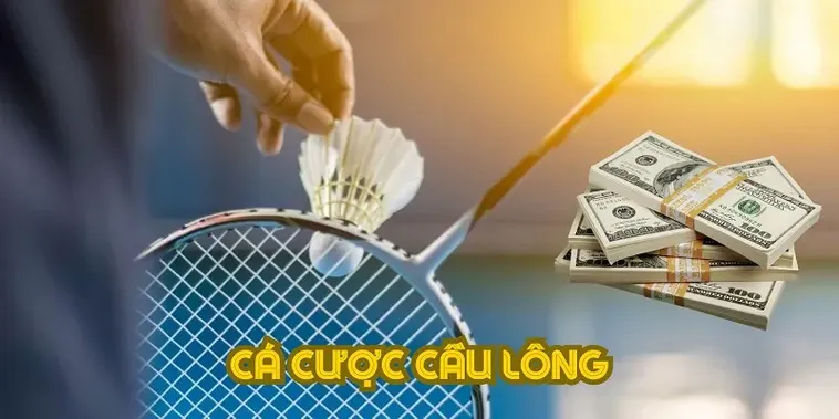 Cá Cược Cầu Lông Tại Sodo6789 Hiệu Quả Nhất Dành Cho Người Mới