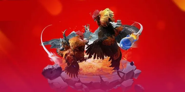 Sức Hút Của Đá Gà Sodo6789 Đấu Trường Kê Thủ Đỉnh Cao Cháy Hết Mình